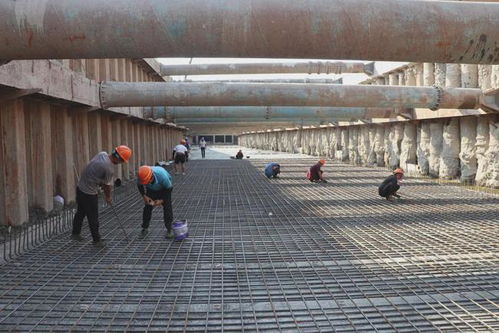 市政集團(tuán)黨總支 黨建聯(lián)建聚合力，攜手共建精品民生工程